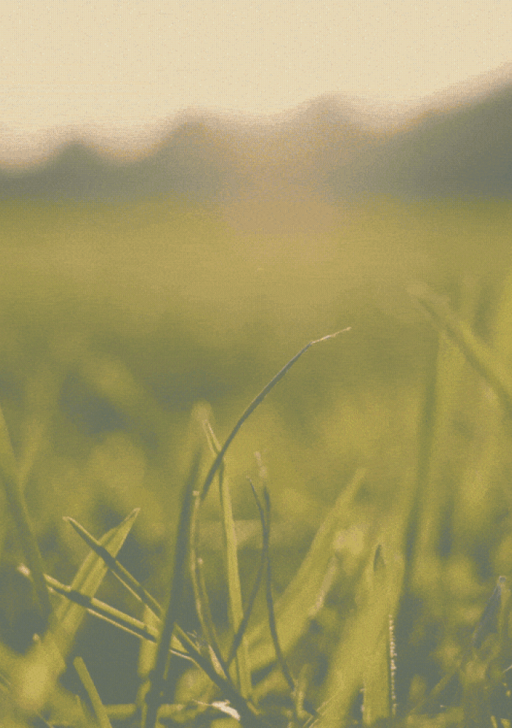gras